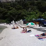 Crvena Orhideja *