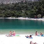 Crvena Orhideja