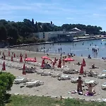 Crvena Orhideja *