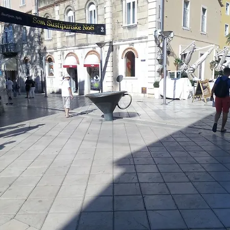 Crvena Orhideja 스플리트