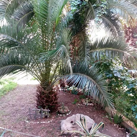 Appartamento Crvena Orhideja Spalato