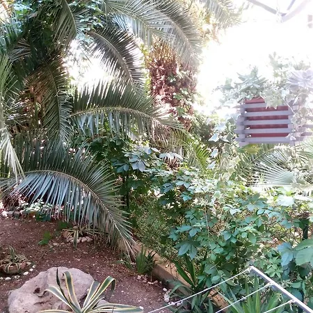 Crvena Orhideja Spalato