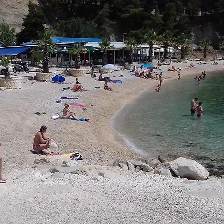Appartamento Crvena Orhideja *