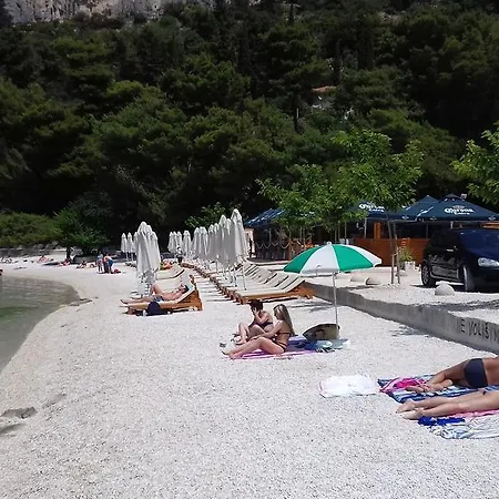 Crvena Orhideja *