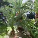 Apartments Crvena Orhideja Apartman Split
